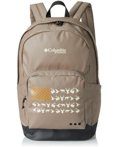 Columbia Pfg Phg Zigzag 22l Backpack - Gray