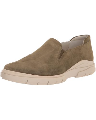 Franco sarto marta sales