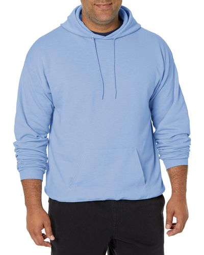 Hanes Pullover Ecosmart Hooded Sweatshirt - Blue
