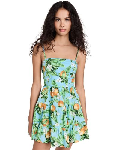 BB Dakota Summer Orchard Dress - Green