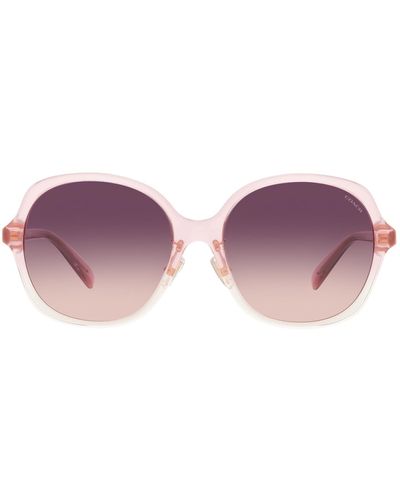 COACH Hc8360f Low Bridge Fit Sunglasses - Purple
