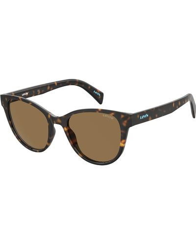 Levi's Lv 1014/s Cat Eye Sunglasses - Brown