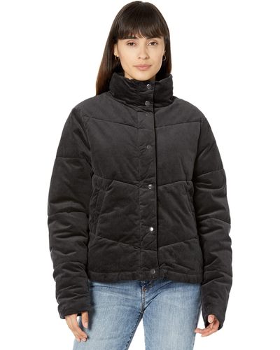 Splendid Milla Cord Long Sleeve Puffer Jacket - Black