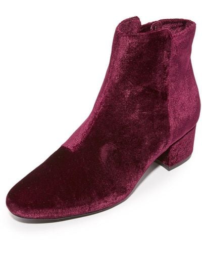 Joie Fenellie Ankle Boot - Multicolor