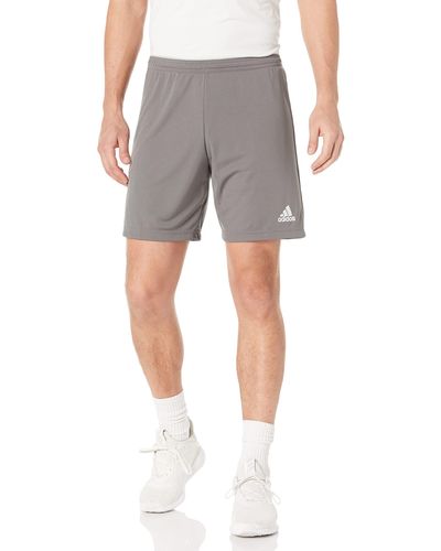 adidas Mens Entrada 22 Shorts - Gray