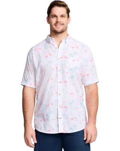 Izod Big And Tall Saltwater Dockside Short Sleeve Button Down Shirt - White