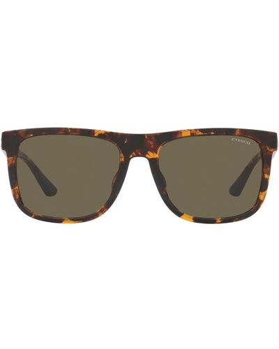 COACH Hc8367u Universal Fit Sunglasses - Black