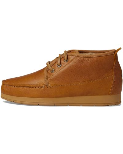 Sperry Top-Sider Chukka Boot - Brown