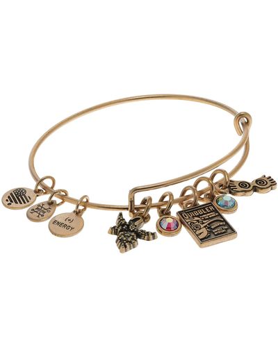 Harry Potter Alex And Ani Necklace 2025