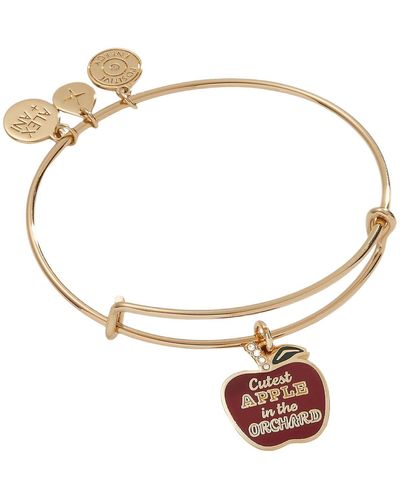 ALEX AND ANI Cutest Apple In The Orchard Expandable Wire Bangle Bracelet - Metallic