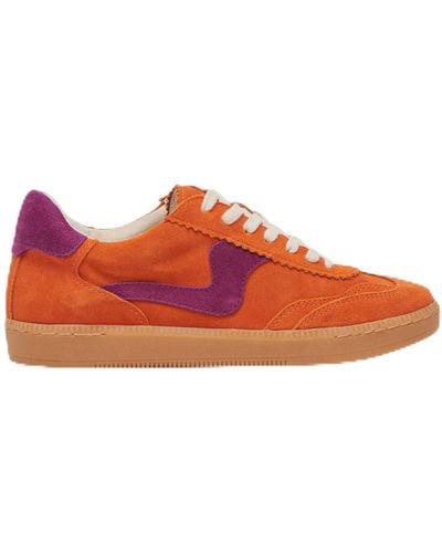 Dolce Vita Notice Sneaker - Orange