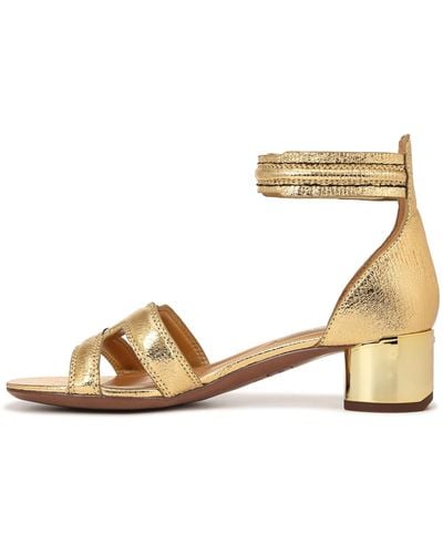 Franco Sarto S Nora Ankle Strap Low Block Heel Sandal Gold Metallic 10 W
