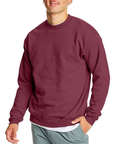 Hanes Ecosmart Sweatshirt - Purple