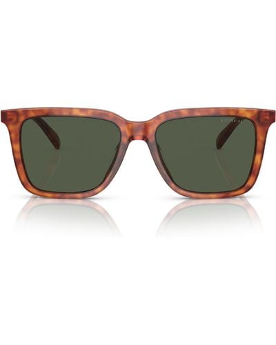 COACH Hc8385u Universal Fit Sunglasses - Green