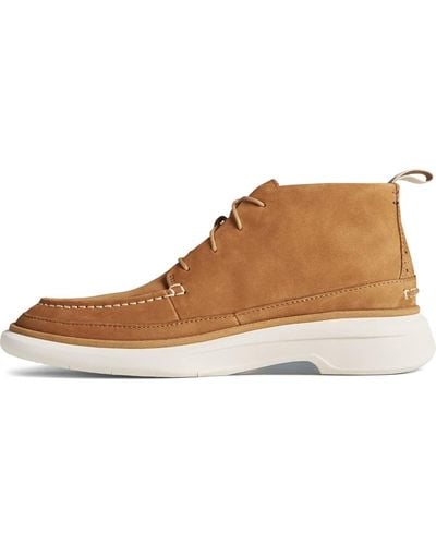 Sperry Top-Sider Gold Commodore Plushwave Chukka Boot - Brown