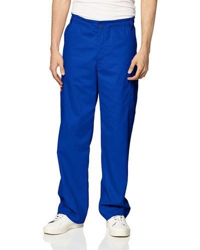 Dickies Pants for Men, Online Sale up to 50% off