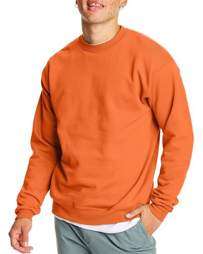 Hanes Ecosmart Sweatshirt - Orange