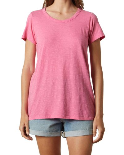 Velvet By Graham & Spencer Tilly Velvet Originals T-shirt - Pink