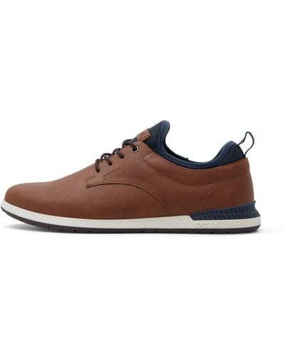 ALDO Colby Trainer - Brown