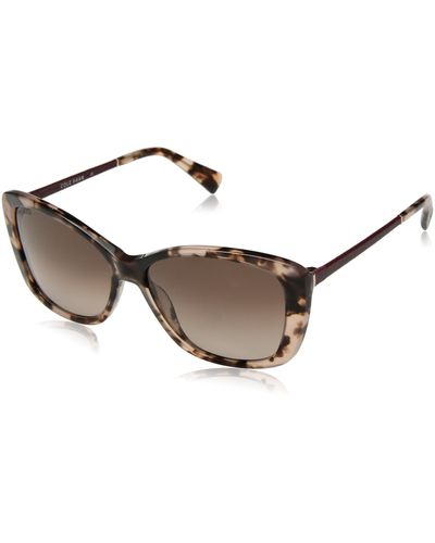 Cole Haan Ch7005 Plastic Butterfly Cateye Sunglasses - Brown