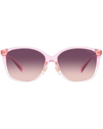 COACH Hc8361f Low Bridge Fit Sunglasses - Purple