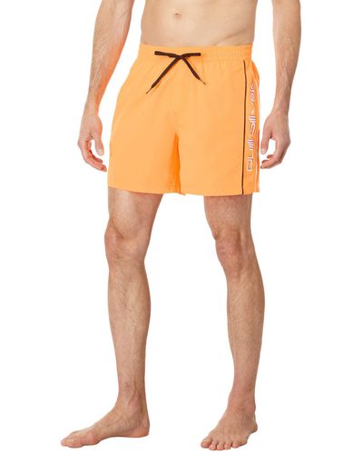 Quiksilver Standard Everyday Vert Volley 16 Boardshort Swim Trunk - Orange