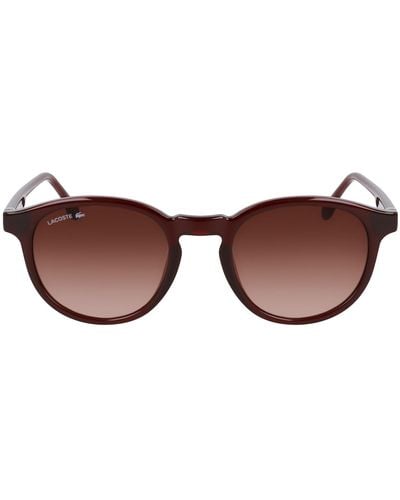 Lacoste L6030s Round Sunglasses - Brown
