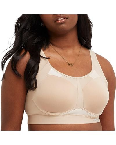 Champion, Absolute, Moisture Wicking, High-Impact Sports Bra for Women,  Odyssey, X-Small at  Women's Clothing store