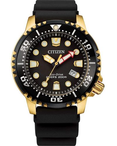 Citizen Promaster Dive Eco-drive Watch - Black