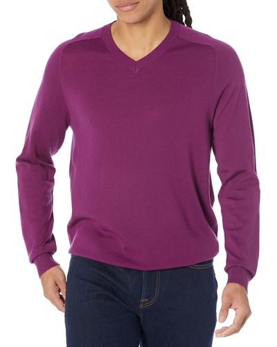 Amazon Essentials Regular-fit Merino Wool V-neck Sweater - Purple