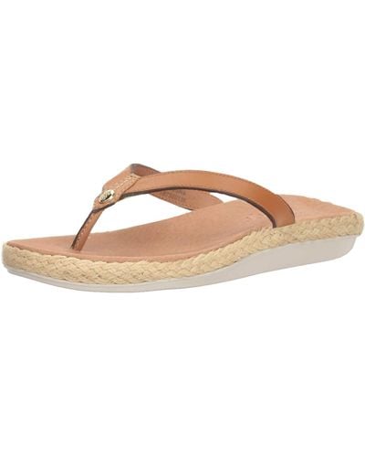 Tommy bahama 2024 womens flip flops