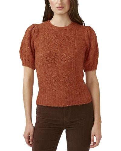 Buffalo David Bitton Lissa Ruffle Collar Short Sleeve Sweater - Brown