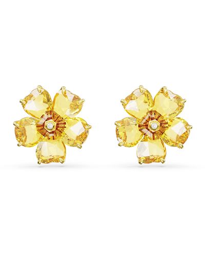Swarovski Florere Pierced Stud Earrings With Yellow Crystals In Flower Motif On Gold-tone Finish - Metallic