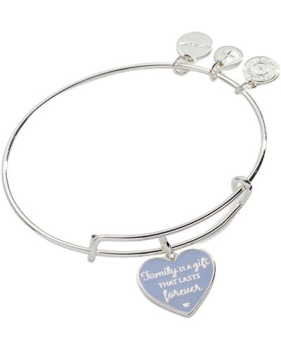 ALEX AND ANI Aa769723ss,family Is A Gift That Lasts Forever Expandable Bangle Bracelet,shiny Silver,blue