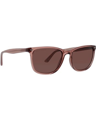 Life Is Good. Sunny Cove Polarized Rectangular Sunglasses - Brown