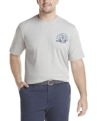 Izod Big Saltwater Short Sleeve Graphic T-shirt - Gray