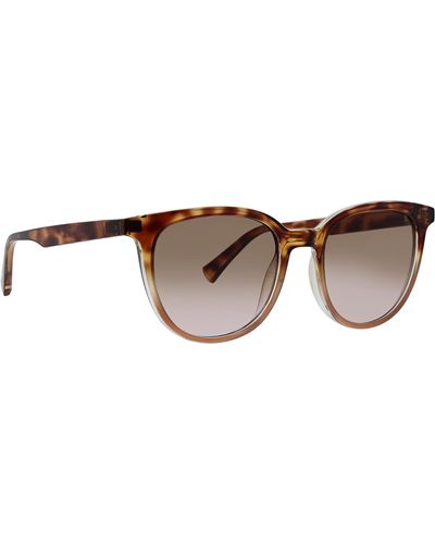 Life Is Good. Baxshaw Sands Polarized Round Sunglasses - Brown