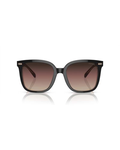 COACH Hc8381u Universal Fit Sunglasses - Black