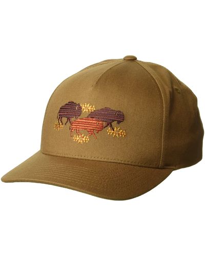 Pendleton Buffalo Embroidered Hat - Brown