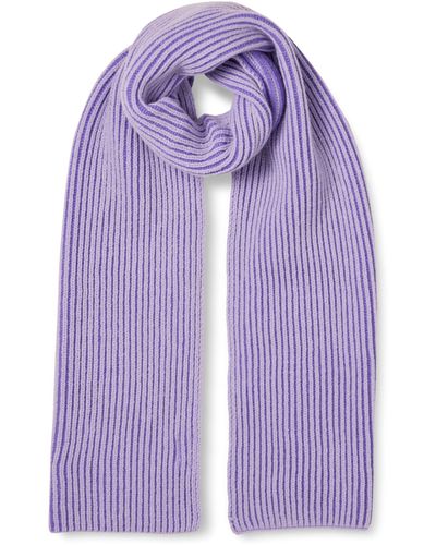 The Drop Bliss Two-tone Ribbed Scarf - Purple