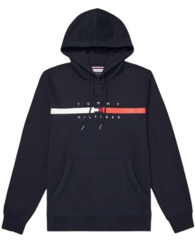 Tommy Hilfiger Adaptive Logo Stripe Hoodie With Magnetic Closure - Metallic