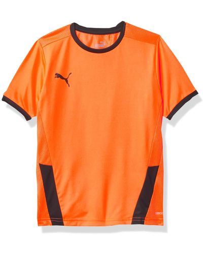 PUMA Youth Youth Teamgoal 23 Jersey Shirt - Orange