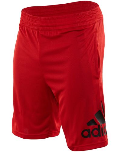 adidas Basketball Crazylight Graphic 2-in-1 Shorts - Red