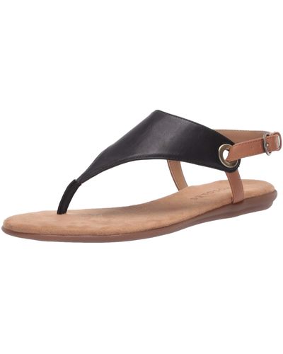 Aerosoles S In Conchlusion Flat Sandal Black 5.5