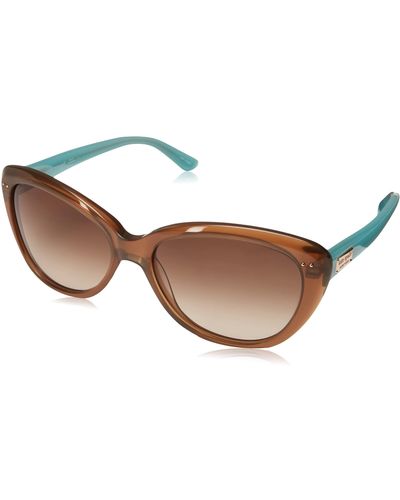 Kate Spade Angeliq Cat-eye Sunglasses - Brown