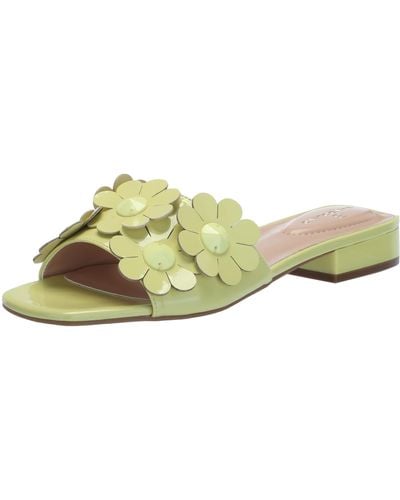 Bandolino Marigold Flat Sandal - Multicolor
