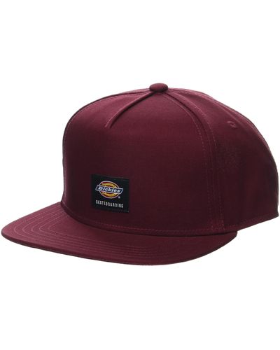 Dickies Skateboarding Mid Pro Cap Red - Purple