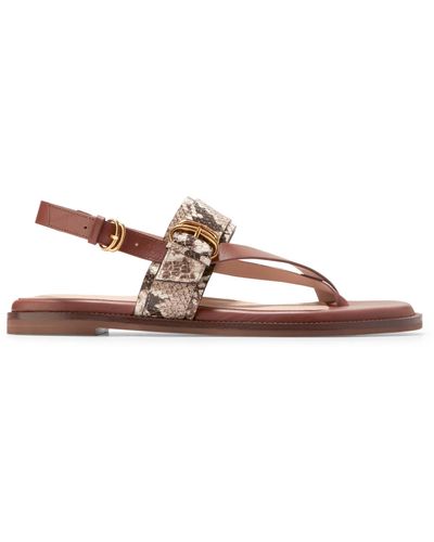 Cole Haan Anica Lux Buckle Flat Sandal - Brown