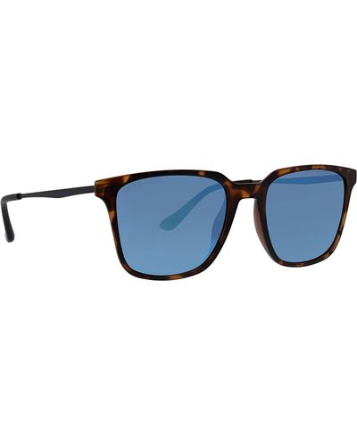Life Is Good. Reed Polarized Square Sunglasses - Blue