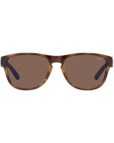 Polo Ralph Lauren Ph4180u Universal Fit Square Sunglasses - Brown